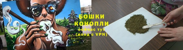 PSILOCYBIN Белоозёрский