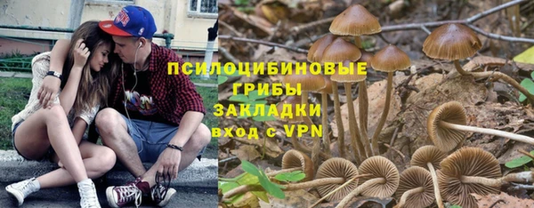 молекула духа Беломорск