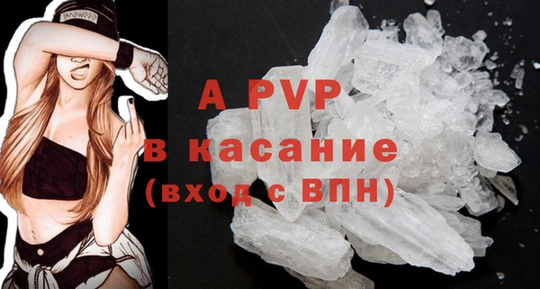 PSILOCYBIN Белоозёрский