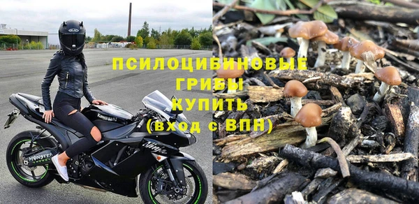 PSILOCYBIN Белоозёрский