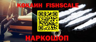 jwh Бийск