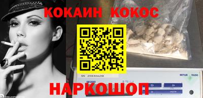 jwh Бийск