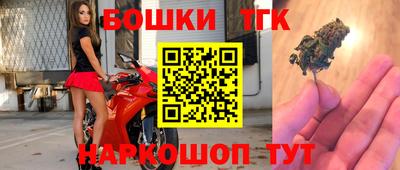 jwh Бийск