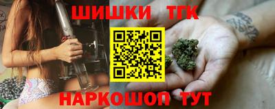 jwh Бийск