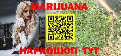 jwh Бийск