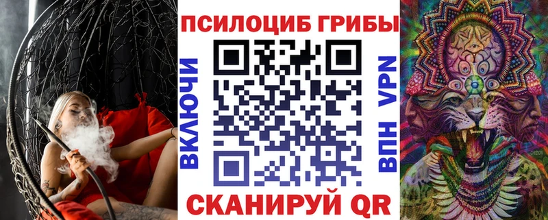 Псилоцибиновые грибы Psilocybine cubensis  Вязники 